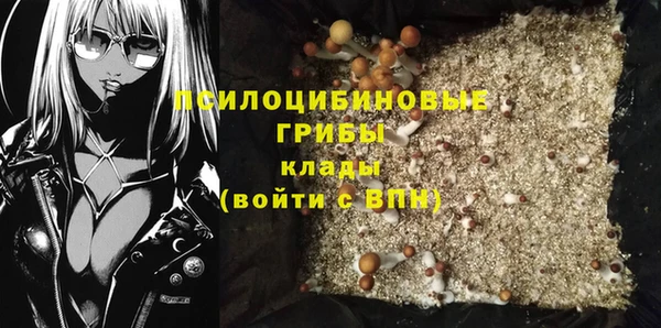 крисы Покровск